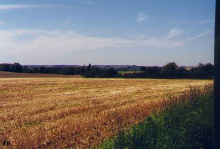 cfhs_03