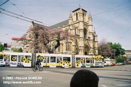 tramgeneve_07